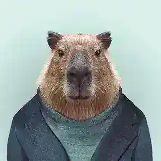 Capibaradrop Bot