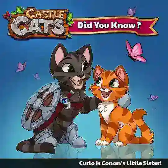 Тейк кф с котами🎀❤💥