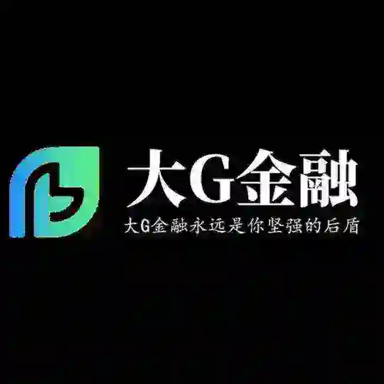 大G金融自助ID 借款