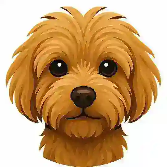 FamilyVPN