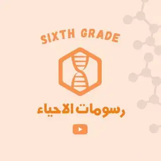بوت رسومات الاحياء