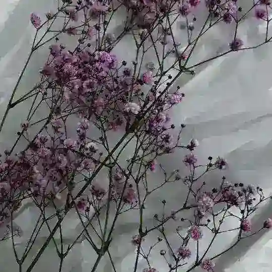[найти музыку по видео]