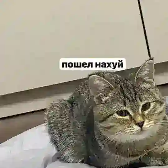 Ивандрю яой тейки
