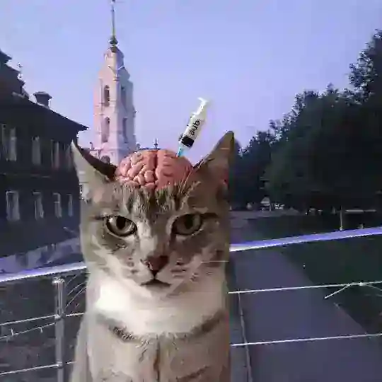 la græd take