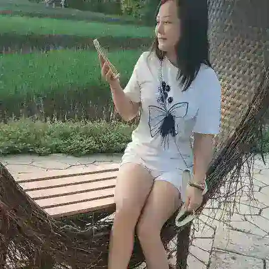 双向机器人