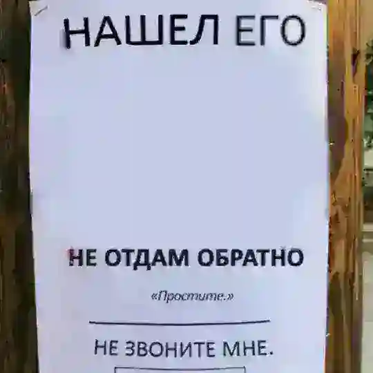 Тейки