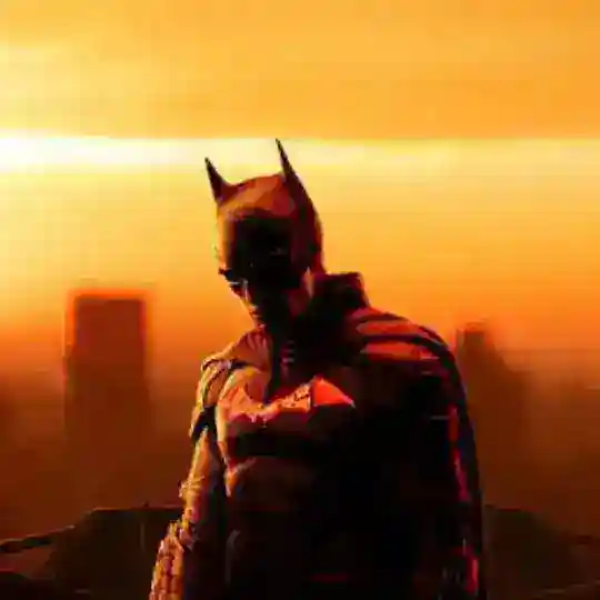 محافظ آقای بتـمن 🦇