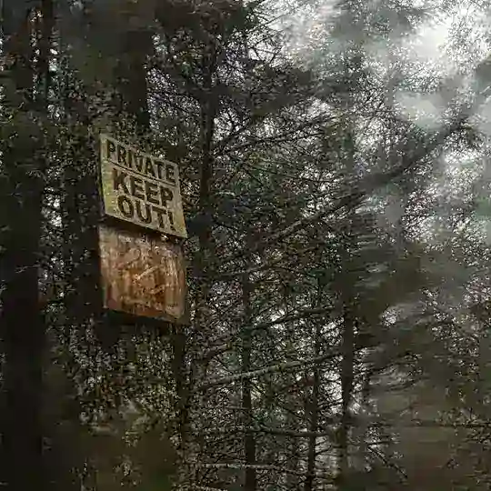 ፝🌿 ִ Послать сигнал. . . ⎯ׅ