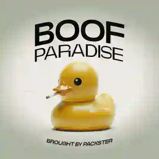 RealBoofLeadsBot