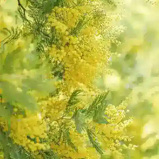 Анон тейки рефкф