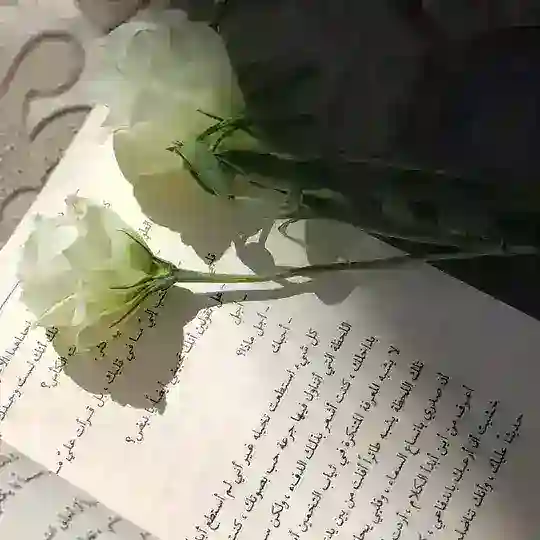 Reham Ahmed