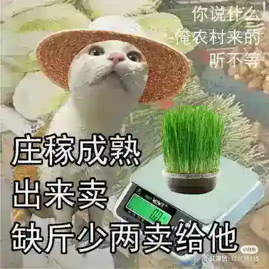 связь с адм