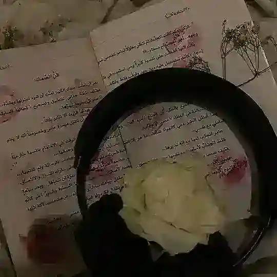 . 𓏺 َ 𝐒𝐭𝐞𝐥𝐥𝐚°𓏺.𓏺