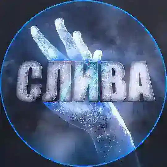 СЛИВА Premium ❣️