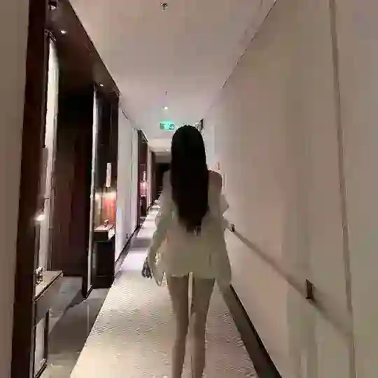 龙华诗诗的双向机器人