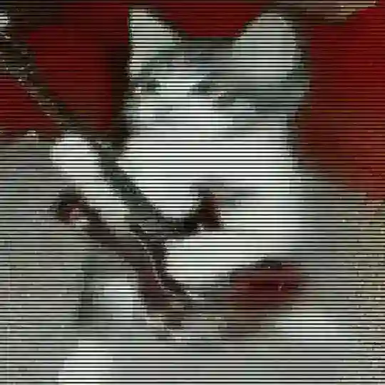 Цыган