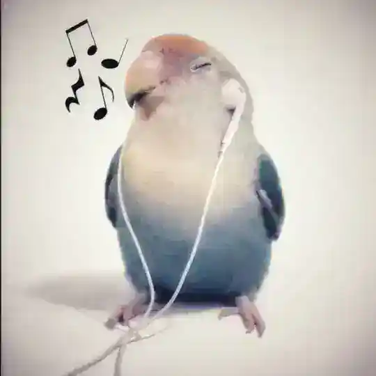 Тейки КСкф