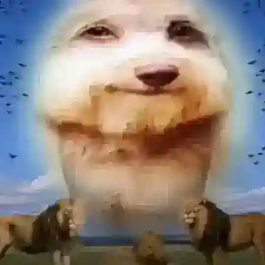 TeukiRandomVideo