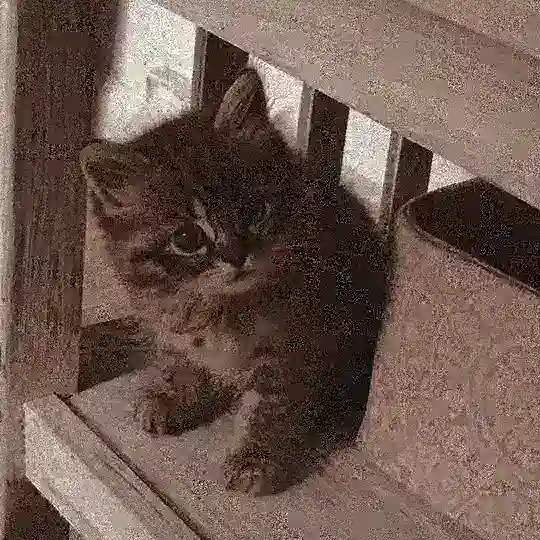 Бот ППИР