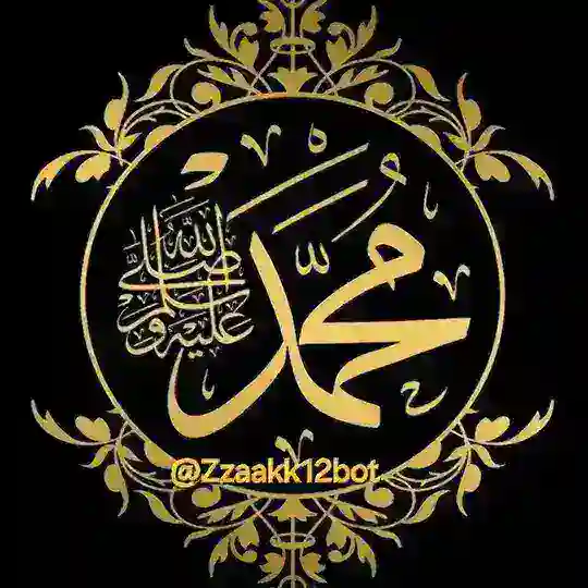 بوت سيرة الرسول ( ﷺ )