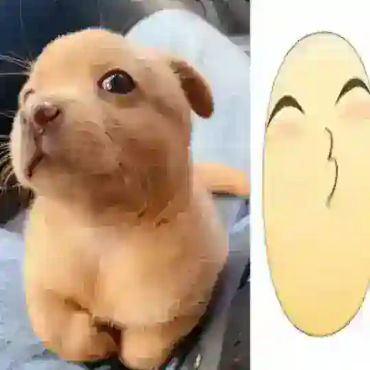анонимка лидропн
