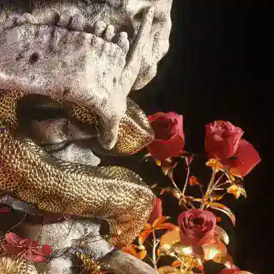 𝖼𝖺𝗅𝗒𝗉𝗌𝗈𝗉𝗁𝗈𝗋𝖺 𝖼𝗈𝗇𝗇𝖾𝖼𝗍𝗂𝗈𝗇