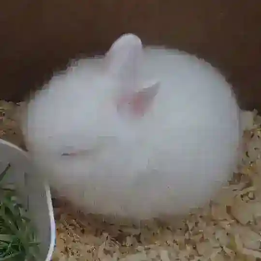 BOT 𝙙𝙖𝙩𝙞𝙣𝙜 𝙗𝙚𝙚𝙣𝙙𝙚𝙩࿐