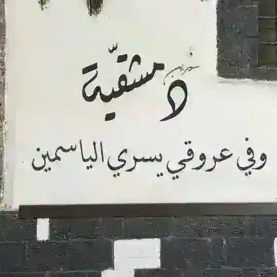 الدِّمَشقِيّة..🤍
