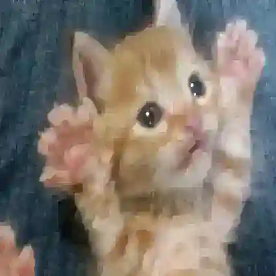 @ ТЕЙКИ ДОМАШНИЕ ЖИВОТНЫЕ