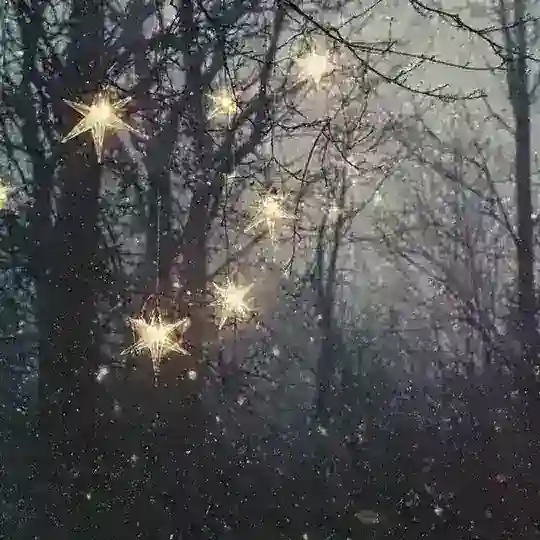 ⸝⸝ dreamcf bot ⸝⸝