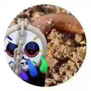 Дайл кф тейки
