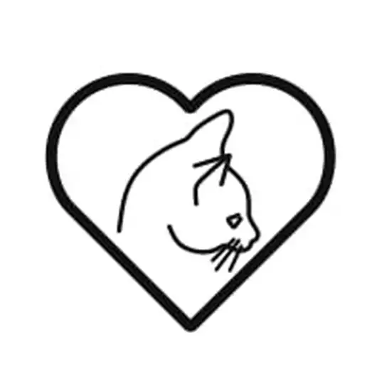 Emotico.Pets блогерам ❤️