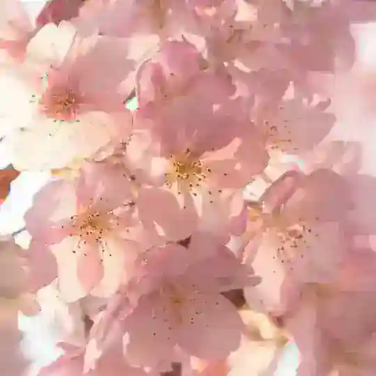 ๐พ๐๐ฝ๐
๐พ๐๐ ๐ฝ๐บ๐๐ฝ๐๐พ๐บ๐ ~ ๐ป๐๐
