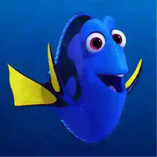 DORI