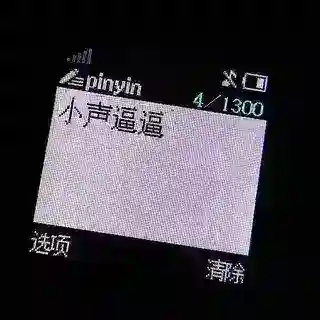小声逼逼的传呼机