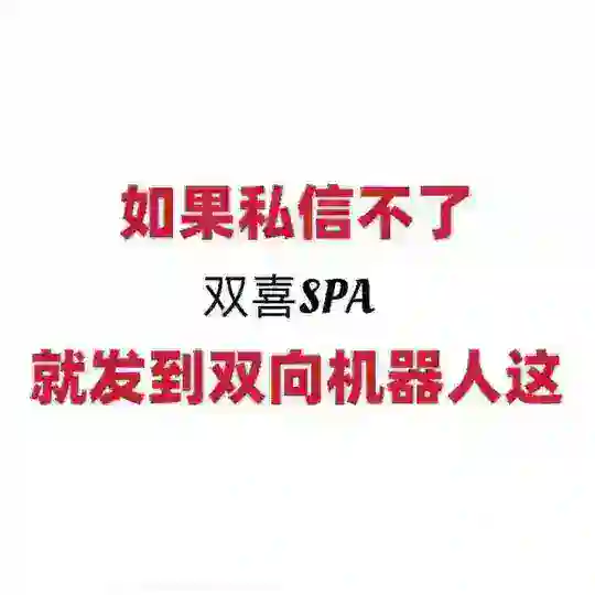 双向机器人
