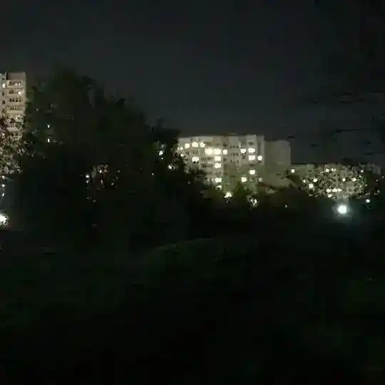 клептомания кф бот