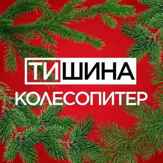 ТиШИНА КОЛЕСОПИТЕР - примерка