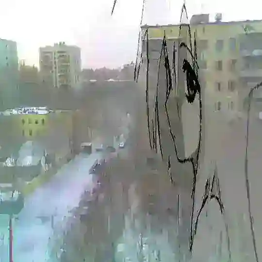 лузеры тейки