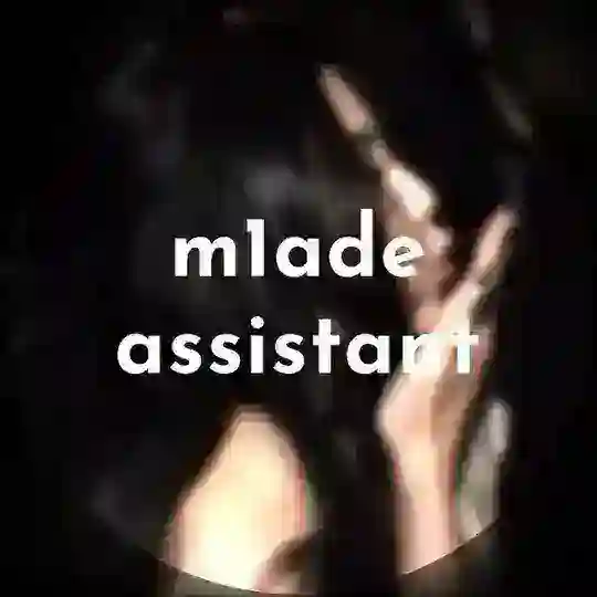 m1ade assistant