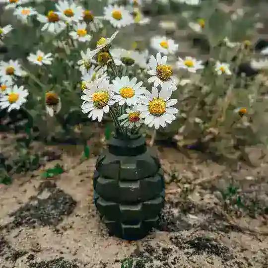 military cf daily takebot