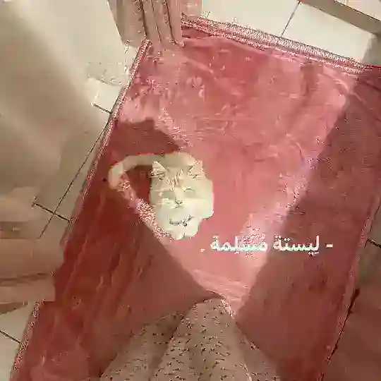 - بُوت المُسلِمة .