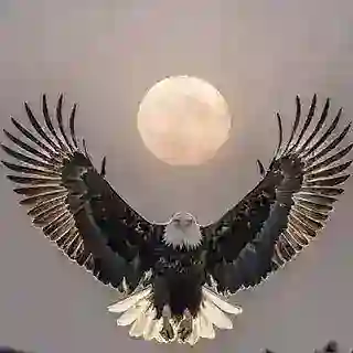 مٖؒـؒؔـٰٰـٖٖسٖؒـؒؔـٰٰـٖٖیٖؒـؒؔـٰٰـٖٖحٖؒـؒؔـٰٰـٖٖ