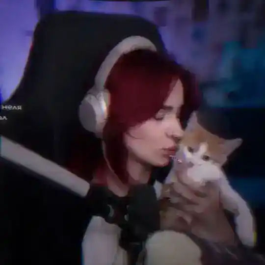 nelyaray anonbot