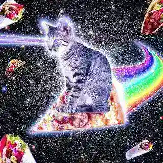 нямкет тейки