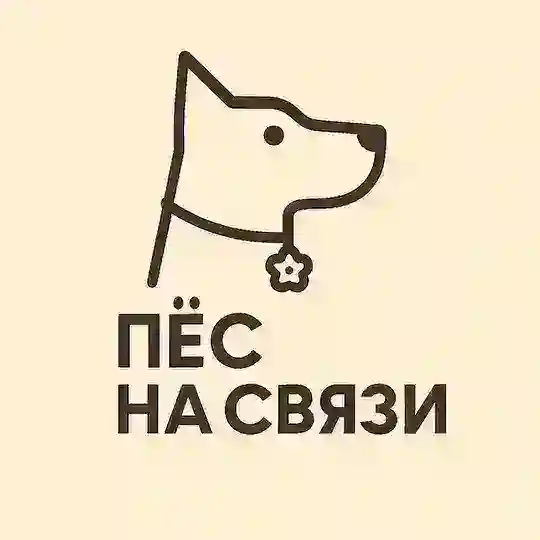 Пёс на связи