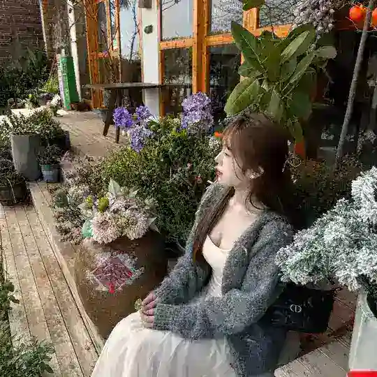 倾城的小跟班