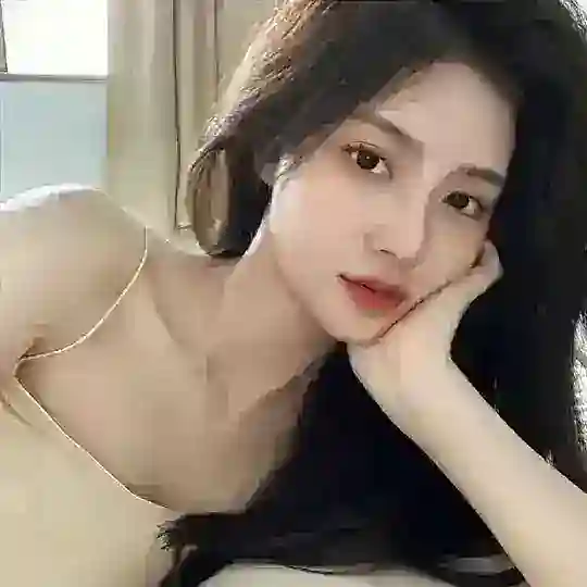 秋雅双向机器人