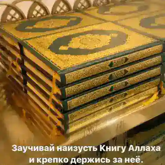 @quran_ponimai