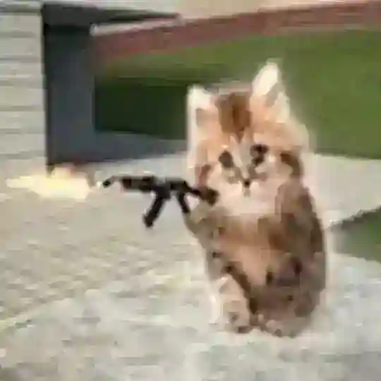 Тейки<3